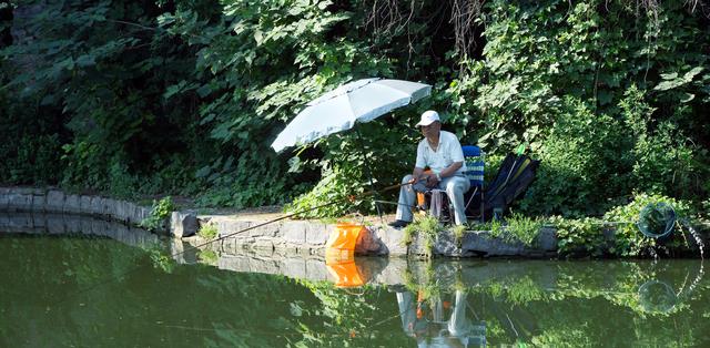 钓鱼|钓鱼界的扫地僧!一根鱼竿外加钢筋当铅坠,大爷轻松实现了连杆