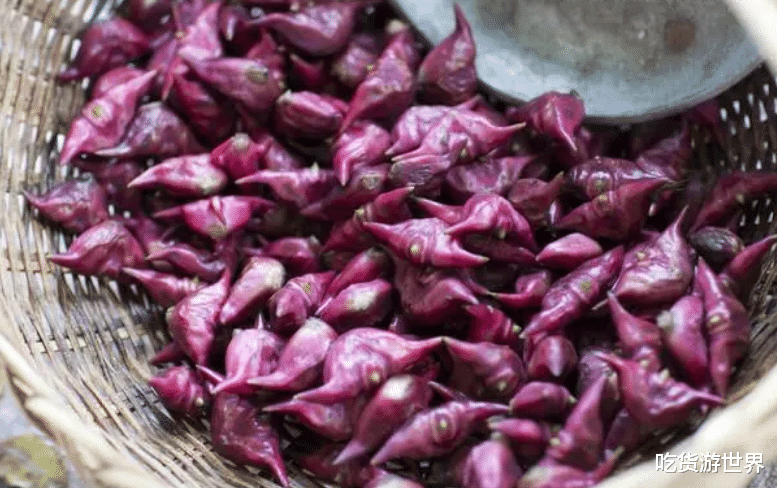 秋季，不吃它太亏了，蛋白质比红薯高2倍，健脾胃除秋燥，正当季