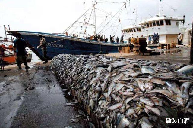 F-35|渔船能捞得动美国掉的F35吗？F35卖废铁约合7万元，钓鱼佬来试试