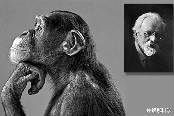 疯狂的科学家,试图让5个女人怀上黑猩猩的孩子,过程有多残忍?