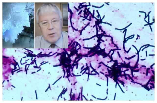 俄罗斯科学家为求永生,注射350万年前“猛犸象细菌”,能实现吗
