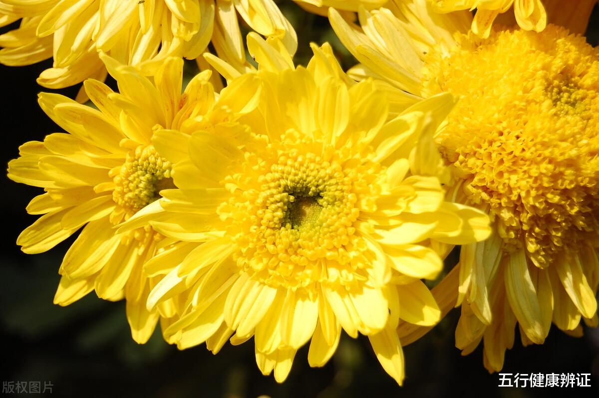 肾虚|嗓子干，全身都干！用一味药，润全身，化解咽干、便干、皮肤干