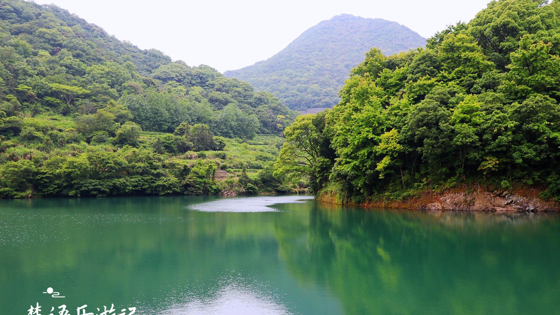 清远|宁波北仑慈东村的三个水库，个个绿如翡翠，成为绝佳的露营胜地