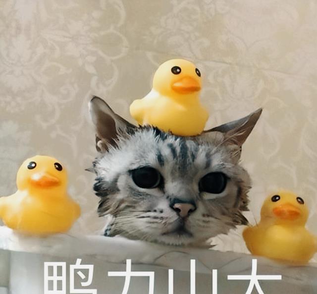 非遗|95后如何看待职场：“想到上班就抑郁焦虑痛苦，一辞职全都好了”