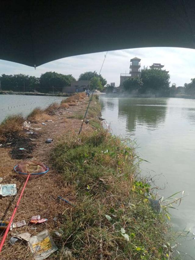 |再战X基地,这次想要爆护不容易