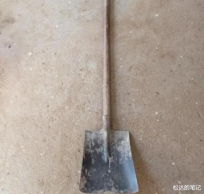 回顾丈夫杀人入狱10年后,收到妻子离婚判决书,丈夫:我举报妻子杀人