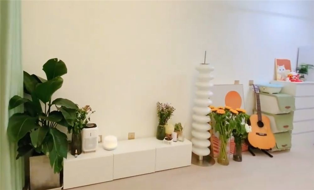 姑娘买下28㎡小家,利用2米9层高做夹层卧室,一个人住也太爽了