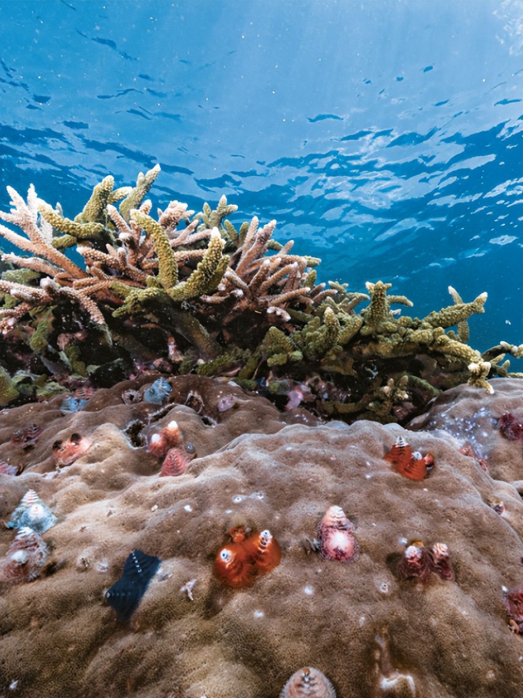 海岛|去海岛只想着游泳？太浪费了