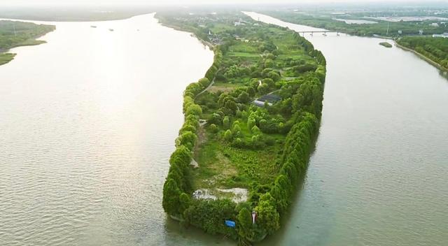 广西|上海四大岛屿，只有三分之一被开发成观光景点，其余都是原始森林