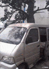 王思聪|王思聪与女友宅家过日子！家中一双鞋要235W，豪宅内景曝光