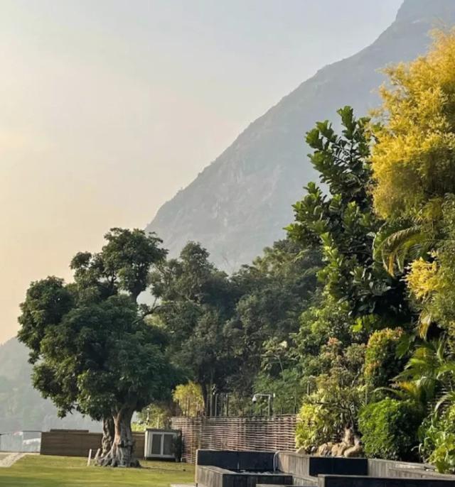 上亿老洋房、为配家具而买房，明星们的“顶级豪宅”