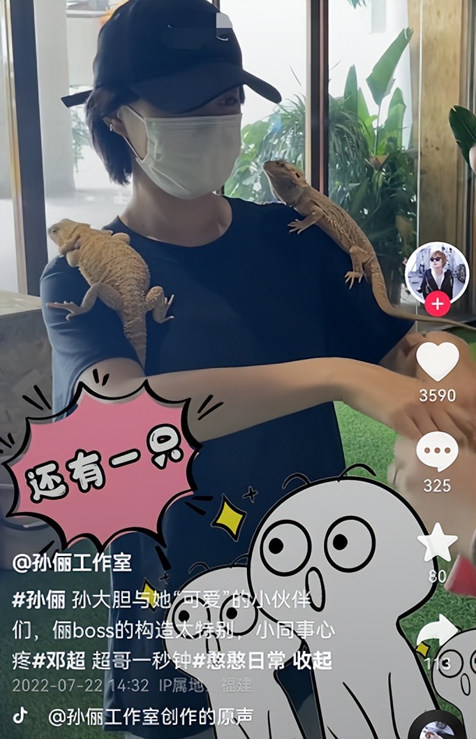 孙俪|孙俪徒手抓蛇好大胆，身上挂三只蜥蜴，一旁邓超被吓破胆直呼救命