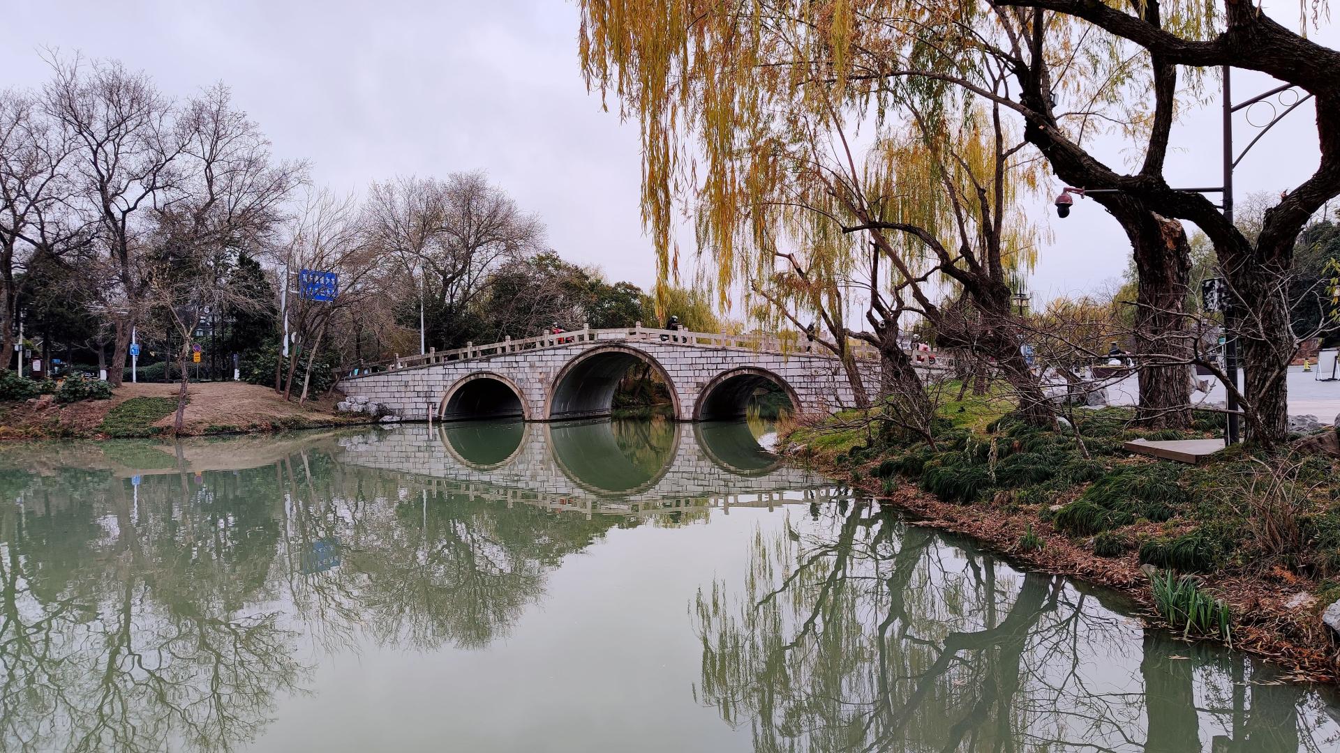 杭州|扬州旅行不能错过盆景园，它在瘦西湖南门外，是一处小众免费景点