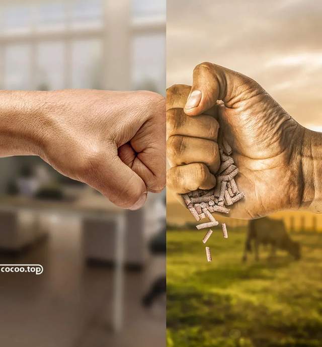 ?设计师就是设计师!很不简单