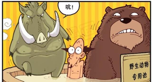 漫画|帅男靓女“共泡温泉”，奋豆尴尬极了，老古惨遭公牛“野蛮冲撞”