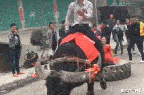 长江|“找了个日本老婆，她说这是天生的皮肤病！”遗传的天生丽质吗