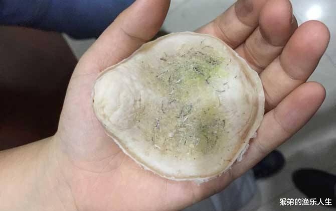 辽宁省|辽宁钓友水库钓到巨青，有人当场出7000，钓鱼也能发家致富吗？