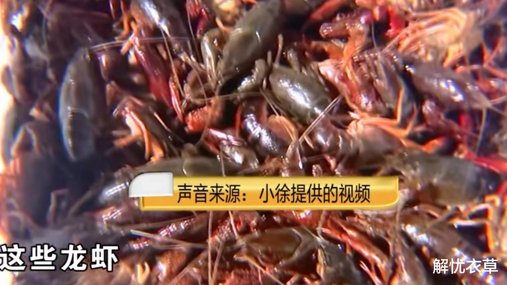 杭州一女子吃完小龙虾拉肚子，要求饭店老板免单、赔偿医药费被拒