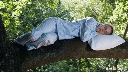 发型 减脂期间注意这3个方面,会让你尽可能的减少肌肉流失