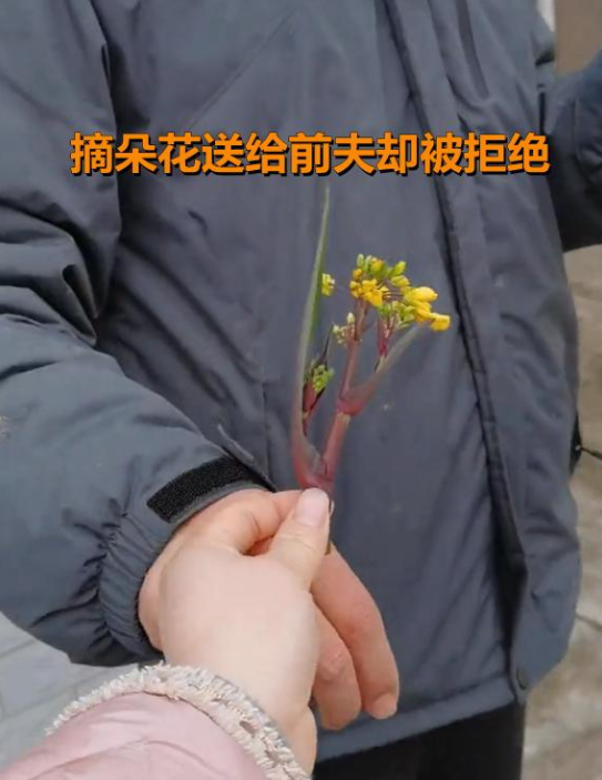 醉逍遥|离婚3年，女子每年住前夫家过年，网友：这样的2婚女谁敢要呀