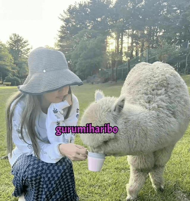 金泰亨|金泰亨-JENNIE恋爱再添实锤?LESSERAFIM纪录片公开!