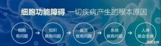 干细胞 — 亚健康的天敌,人体健康的保障!