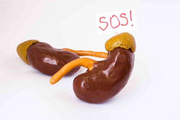 饮食|夏季天气热,这4个行为易损伤肾脏,很多人都在做,赶紧改正