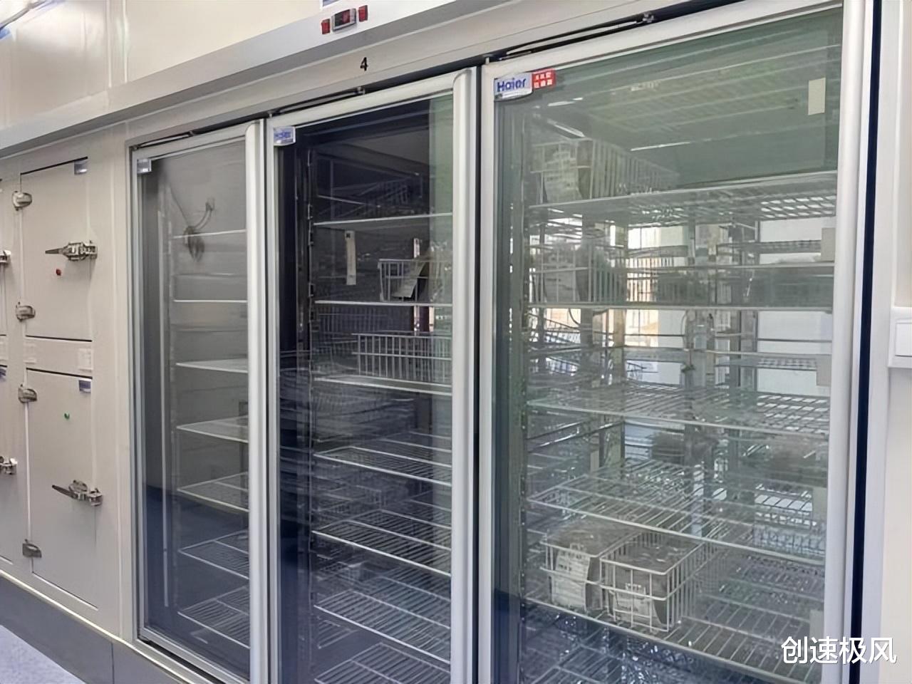 全球仅3个人有黄金血,人类的更高形态?专家:可能进化出超能力