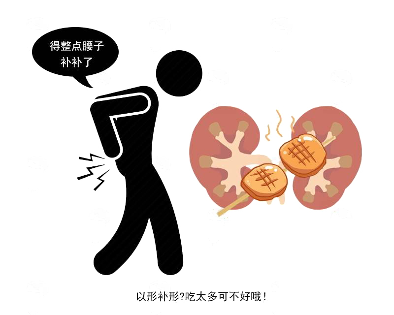 排毒|提醒:吃腰子并不能补肾,真正补肾的是这3物,男性不妨看看!