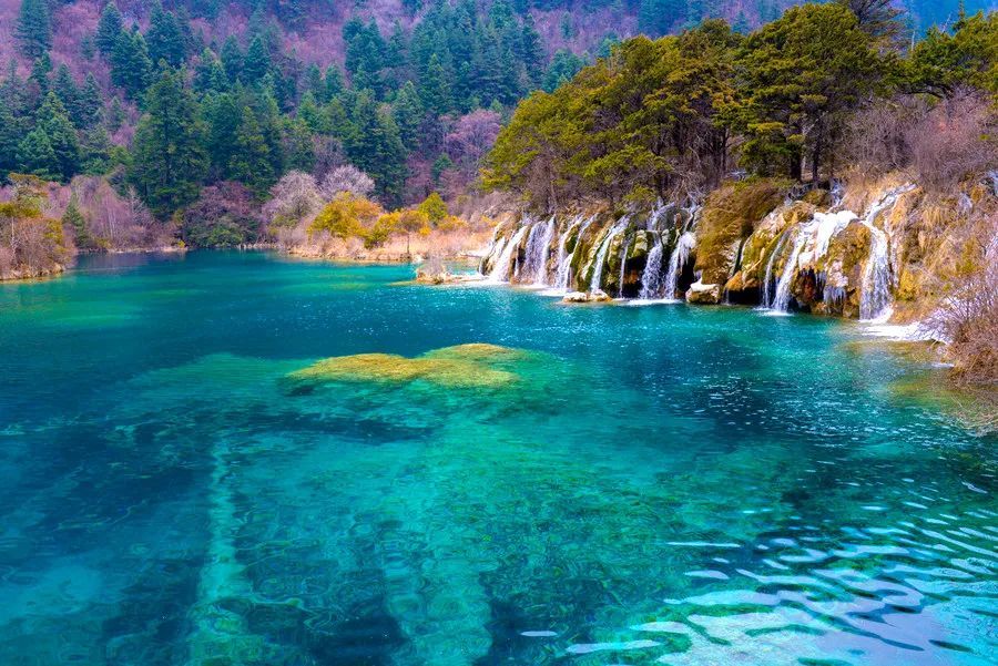 九寨沟|金秋九寨，美的像天神的后花园