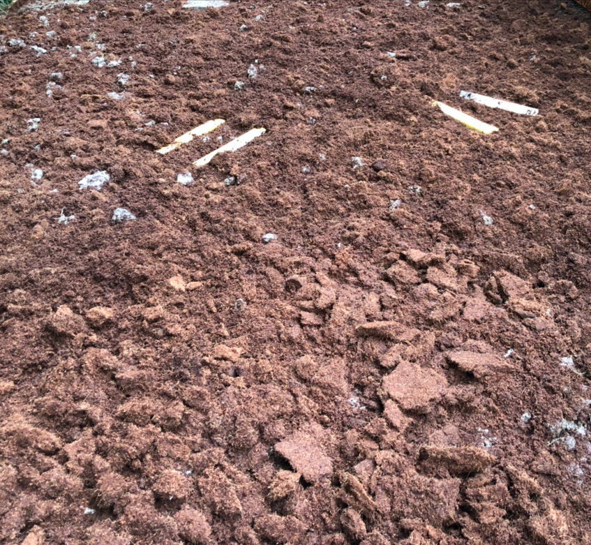 老宅改造：自己DIY打造花园攻略，快把闲置空间利用起来，太美啦