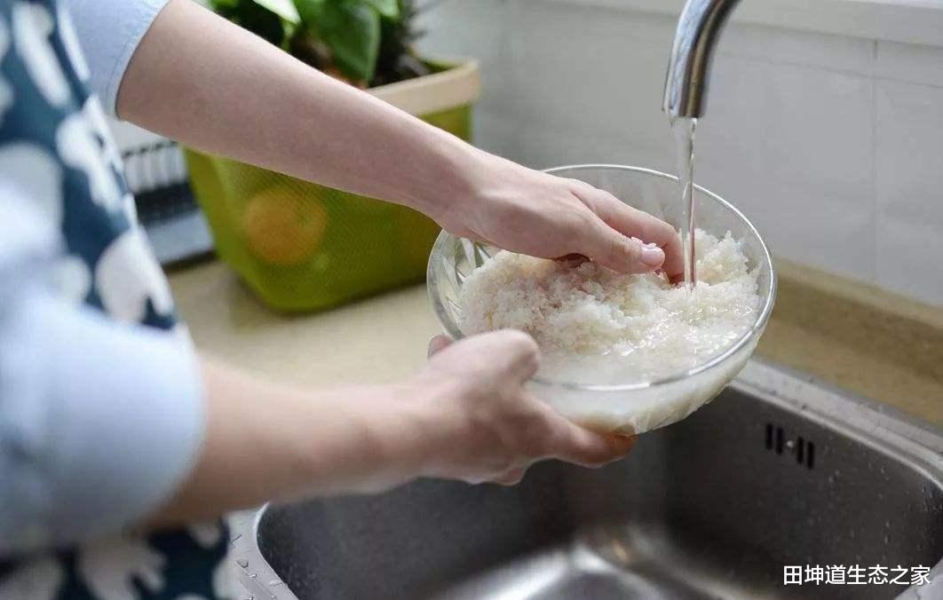 田坤道|一碗淘米水,就能造就你的“清洁”人生