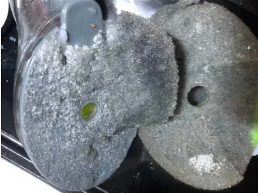 买前真香买后心痛,618不值得入手8件神器,千万别交智商税了