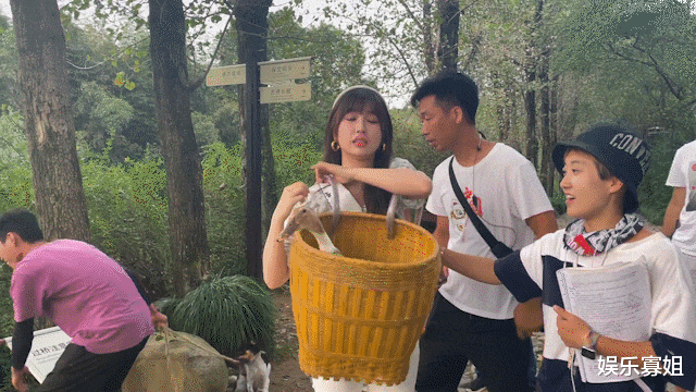 虞美人|《两个人的小森林》虞书词片场花絮,被鸭子吓到的虞美人好可爱