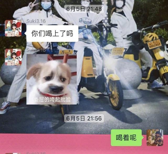 杨紫|杨紫再次发文时间线辟谣和刘学义的绯闻,网友再喊狗仔去上正经班