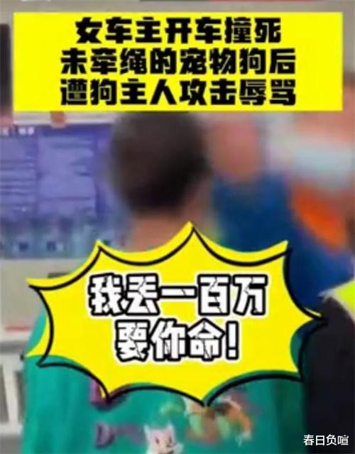 2021年狗没牵绳闯红灯被撞死,犬主暴打司机,叫嚣:花100万买命