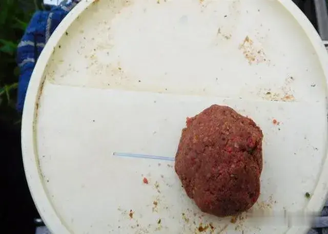 饵料|钓鱼技巧：滑口鱼非常难钓，但掌握这5招让它无处可逃