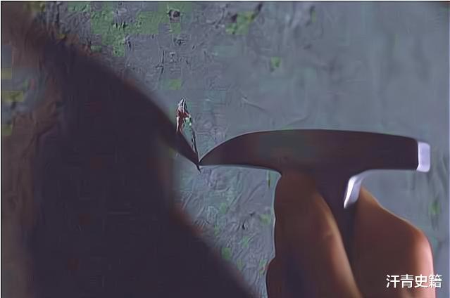 安迪|再读《肖申克的救赎》,我明白了人的一生,为何要读很多的书