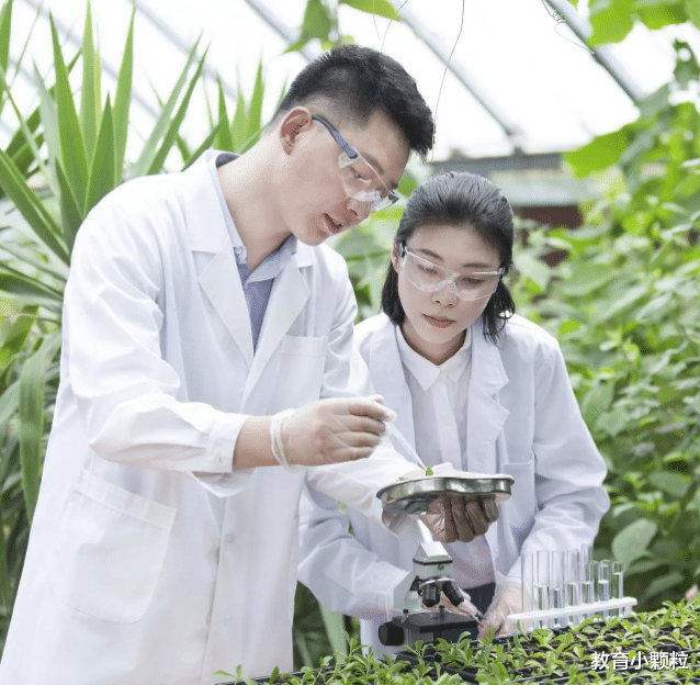 职业教育|好好读书也要挖地,云南农业大学表示,你们给我来办公室一趟
