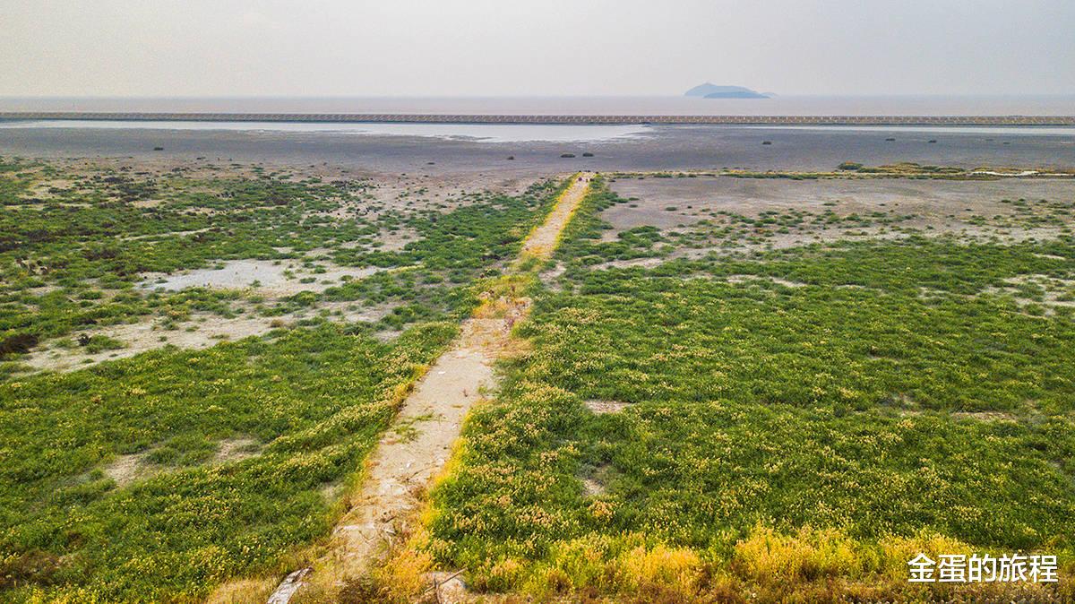松江|上海坑最多的地方在松江，共有12座大深坑，深坑酒店只是其中一坑