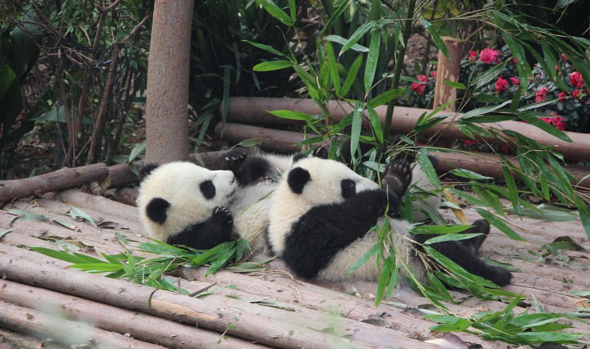 美食|中国四座必去的城市，各种美食美景，应有尽有，你心动了吗？