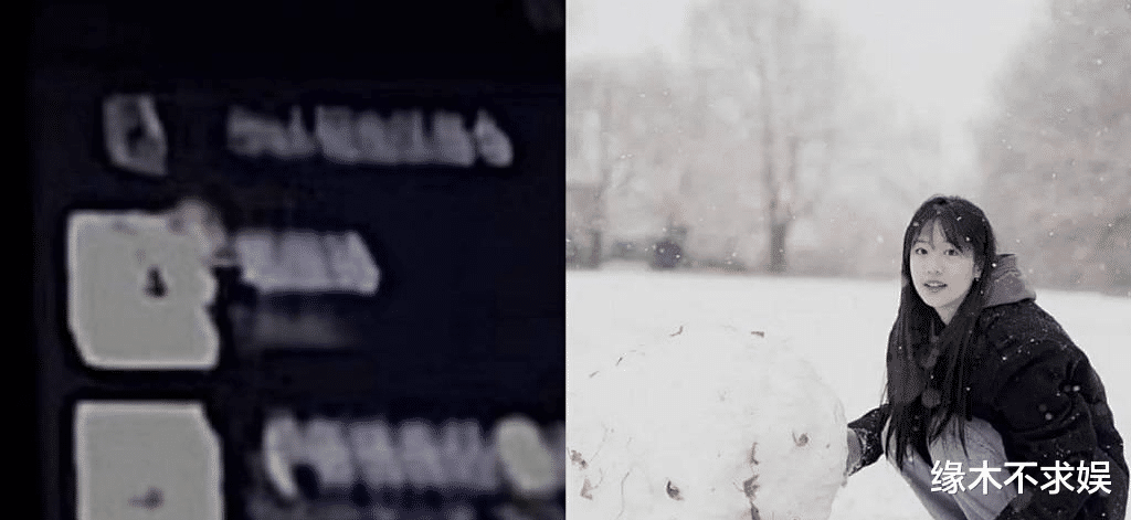 吴磊|和向涵之传了几个月绯闻,吴磊暗戳戳表示单身,吴露可逃却破防了