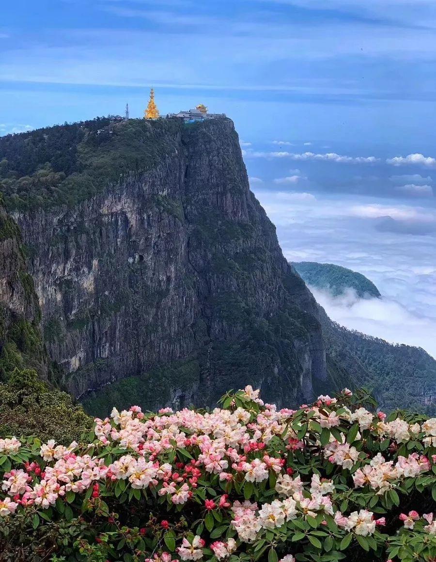 峨眉山|4月赏花何必去林芝，川渝贵这些地方就挺好！有您去过的地方吗？