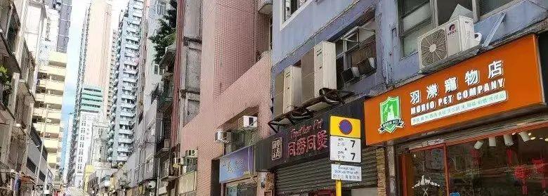 银川|八年前900万买进，现在只能卖600万？杭州商铺没有底？