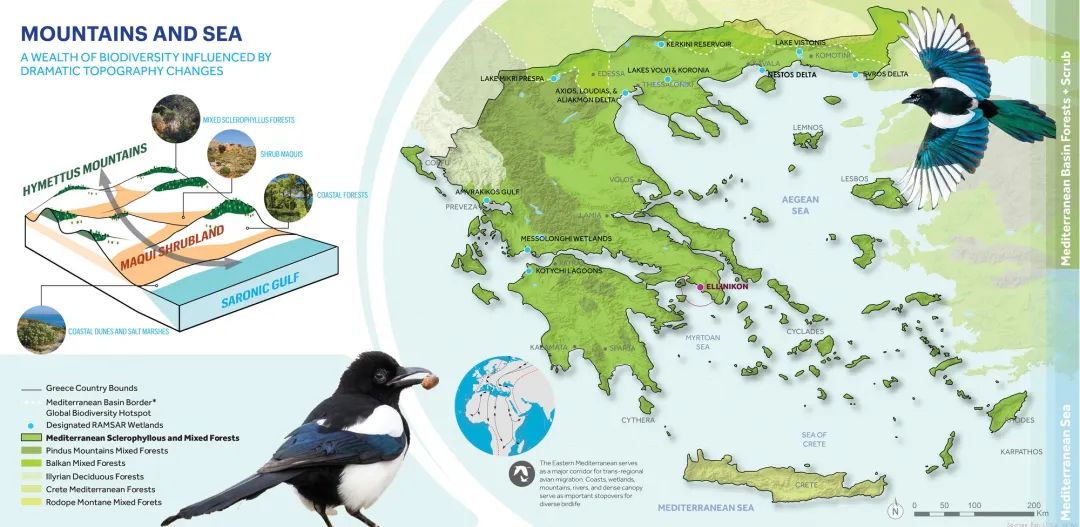 雅典|欧洲最大的海岸公园——雅典 Ellinikon 大都会公园