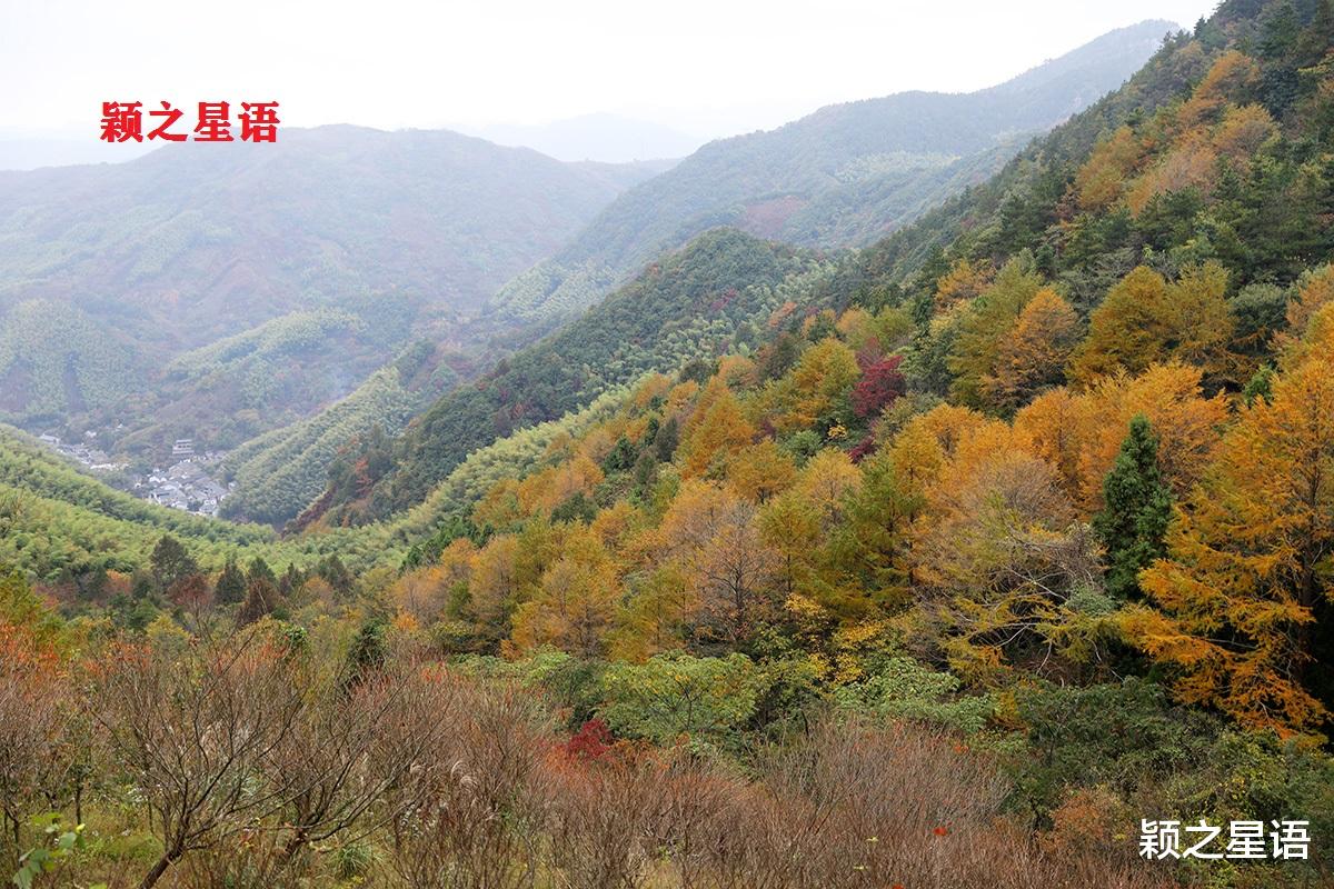 九寨沟|宁波第二条金光大道，走了还想走，赏景不忘植树人