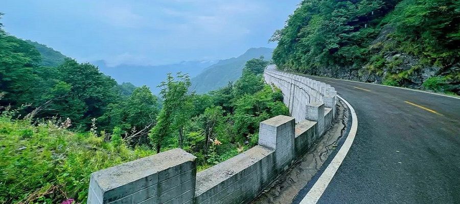 原始森林|在原始森林中穿行,这条华东网红公路,越野自驾爱好者的理想路线