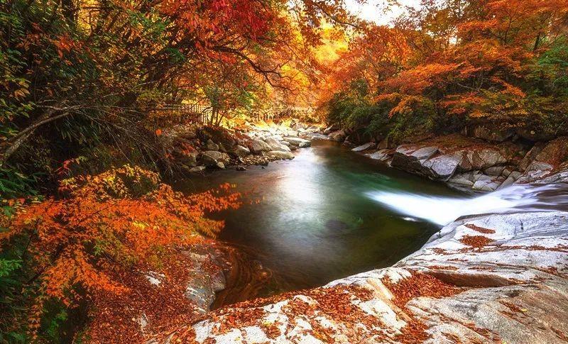 张家口|680平方公里!国内超低调的“红叶第一山”,错峰出行,真香