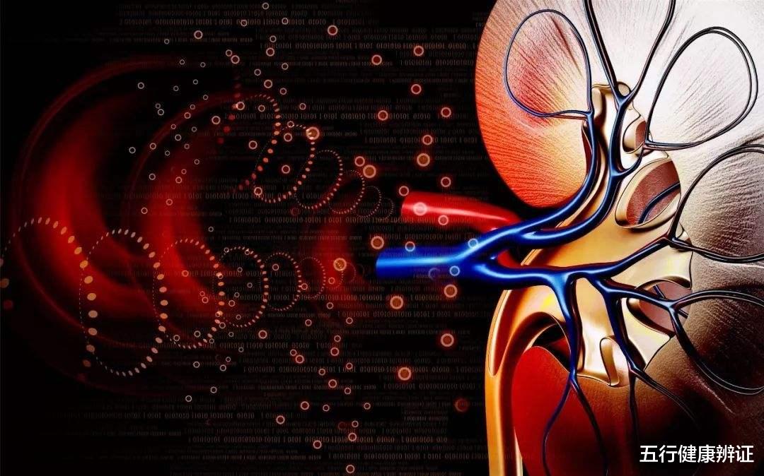 咽炎|三焦不通，可能血脂高！肝、脾、肾、脉四者同调，降血脂，通三焦