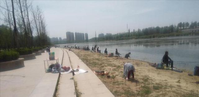 大板|河南一河道成天然黑坑，有人拖家带口来垂钓，网友：鱼犯天条了